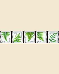 #4848S- 49¢ Ferns