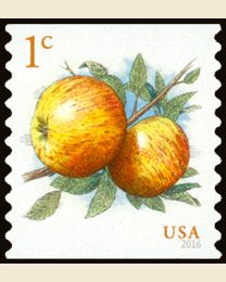 #5037 - 1¢ Albemarle Pippin Apples