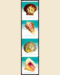 #5163S- (34¢) Seashells