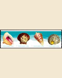 #5167S- (34¢) Seashells