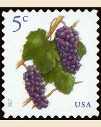 #5177 - 5¢ Grapes