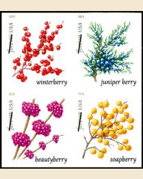 #5415S- (55¢) Winter Berries