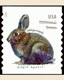 #5545 - (20¢) Brush Rabbit