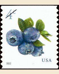#5653 - 4¢ Blueberries