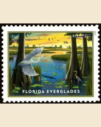 #5751 - $9.65 Florida Everglades