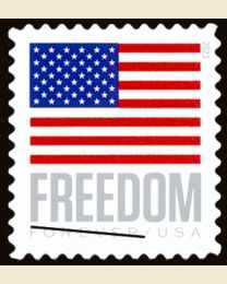 #5787 - Freedom Flag