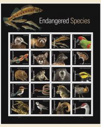 #5799 - Endangered Species