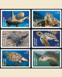 #5865S- Protect Sea Turtles