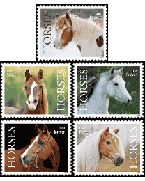 #5891S- Horses