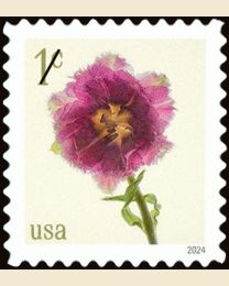 #5897 - 1¢ Fringed Tulip