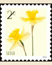 #5898 - 2¢ Daffodils