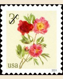 #5899 - 3¢ Peonies