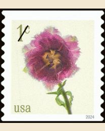 #5902 - 1¢ Fringed Tulip