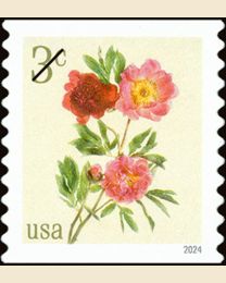 #5904 - 3¢ Peonies