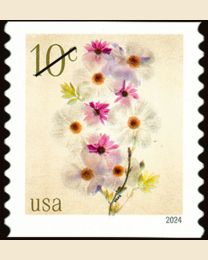 #5906 - 10¢ Poppies & Coneflowers