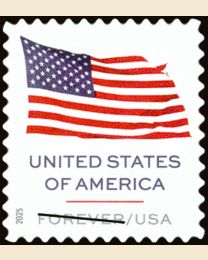 #6016 - U.S. Flag