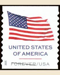 #6017 - U.S. Flag