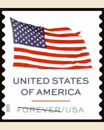 #6018 - U.S. Flag