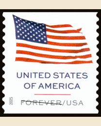 #6019 - U.S. Flag