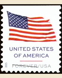#6020 - U.S. Flag