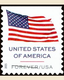 #6021 - U.S. Flag