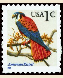 #3031A - 1¢ Kestrel