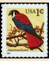 #3031 - 1¢ Kestrel