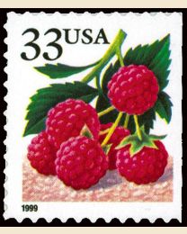 #3295 - 33¢ Raspberries