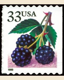 #3301 - 33¢ Blackberries