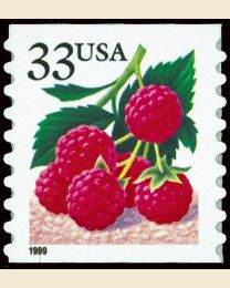 #3303 - 33¢ Raspberries