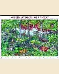 #3899 - 37¢ Northeast Forest