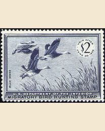 #RW22 - $2 Blue Geese