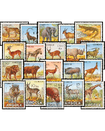 Angola Wild Animals