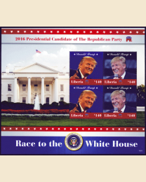 Race to the White House: Donald Trump
