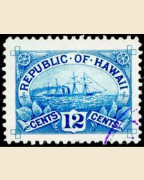 1894 Hawaii Steamer