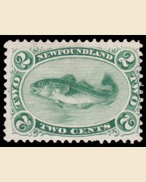 Newf # 24 2¢ Codfish
