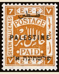 Palestine #54