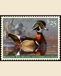 #RW86 - $25 Wood Duck
