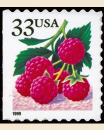 #3300 - 33¢ Raspberries