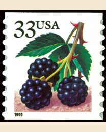 #3304 - 33¢ Blackberries coil
