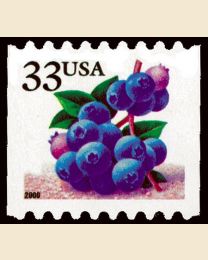 #3404 - 33¢ Blueberries