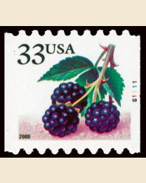 #3406 - 33¢ Blackberries
