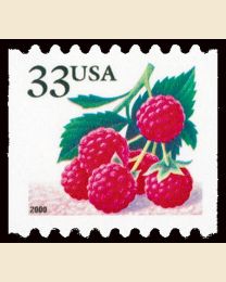 #3407 - 33¢ Raspberries