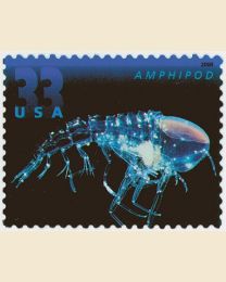 #3442 - 33¢ Amphipod
