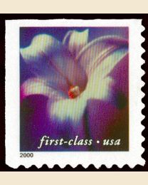 #3454 - Lilies (34¢) 10.5x10.75