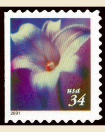 #3481 - 34¢ Lilies 8.5 vert.