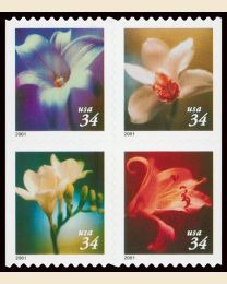 #3487S- 34¢ Lilies Booklet