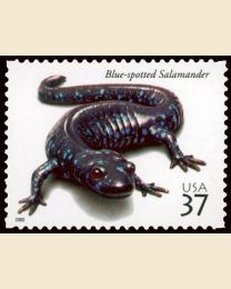 #3815 - 37¢ Salamander