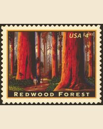 #4378 - $4.95 Redwood Forest