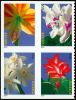 #4862S- (49¢) Winter Flowers